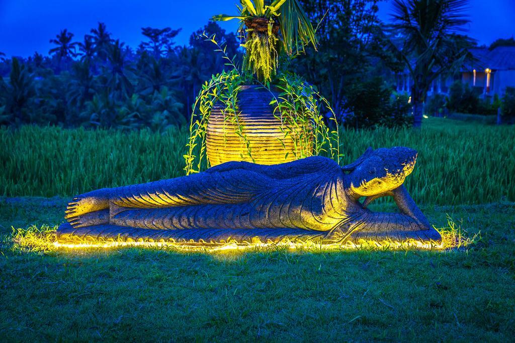 B Saya Villas Ubud Extérieur photo