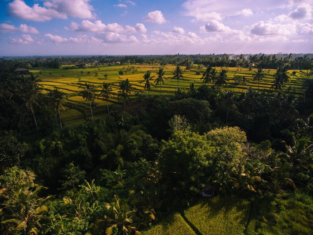 B Saya Villas Ubud Extérieur photo