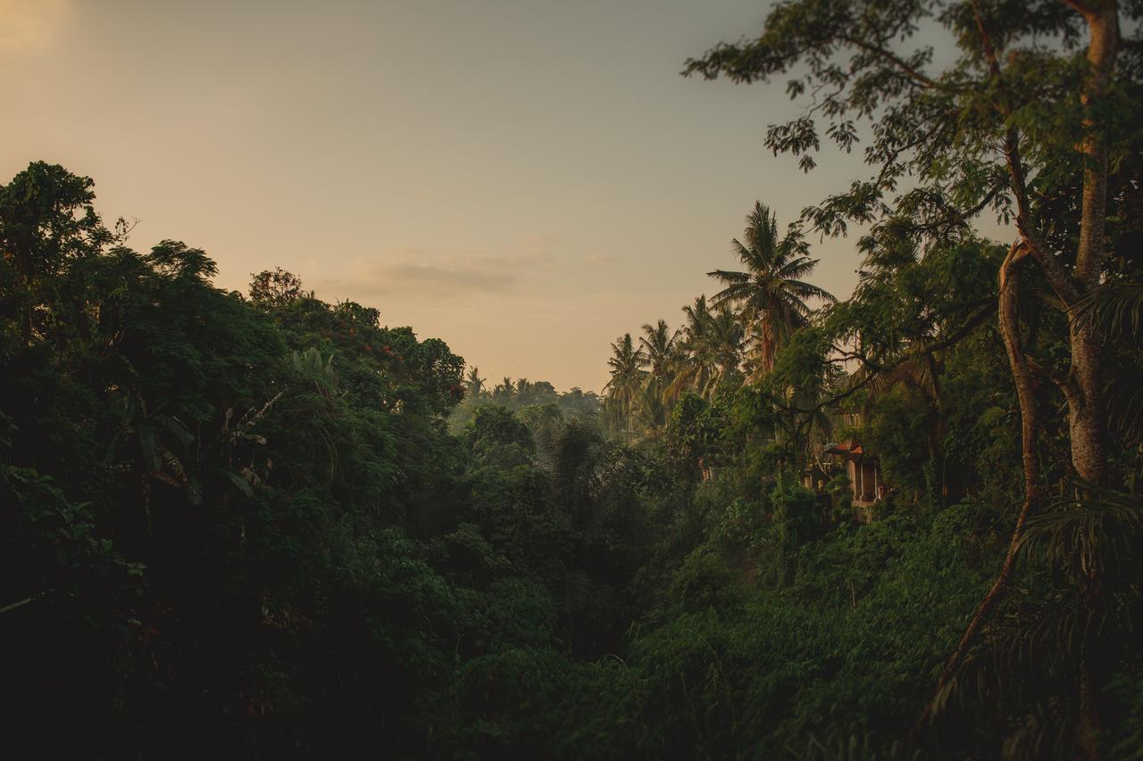 B Saya Villas Ubud Extérieur photo